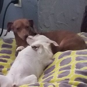 Meet your Posher, Loretta